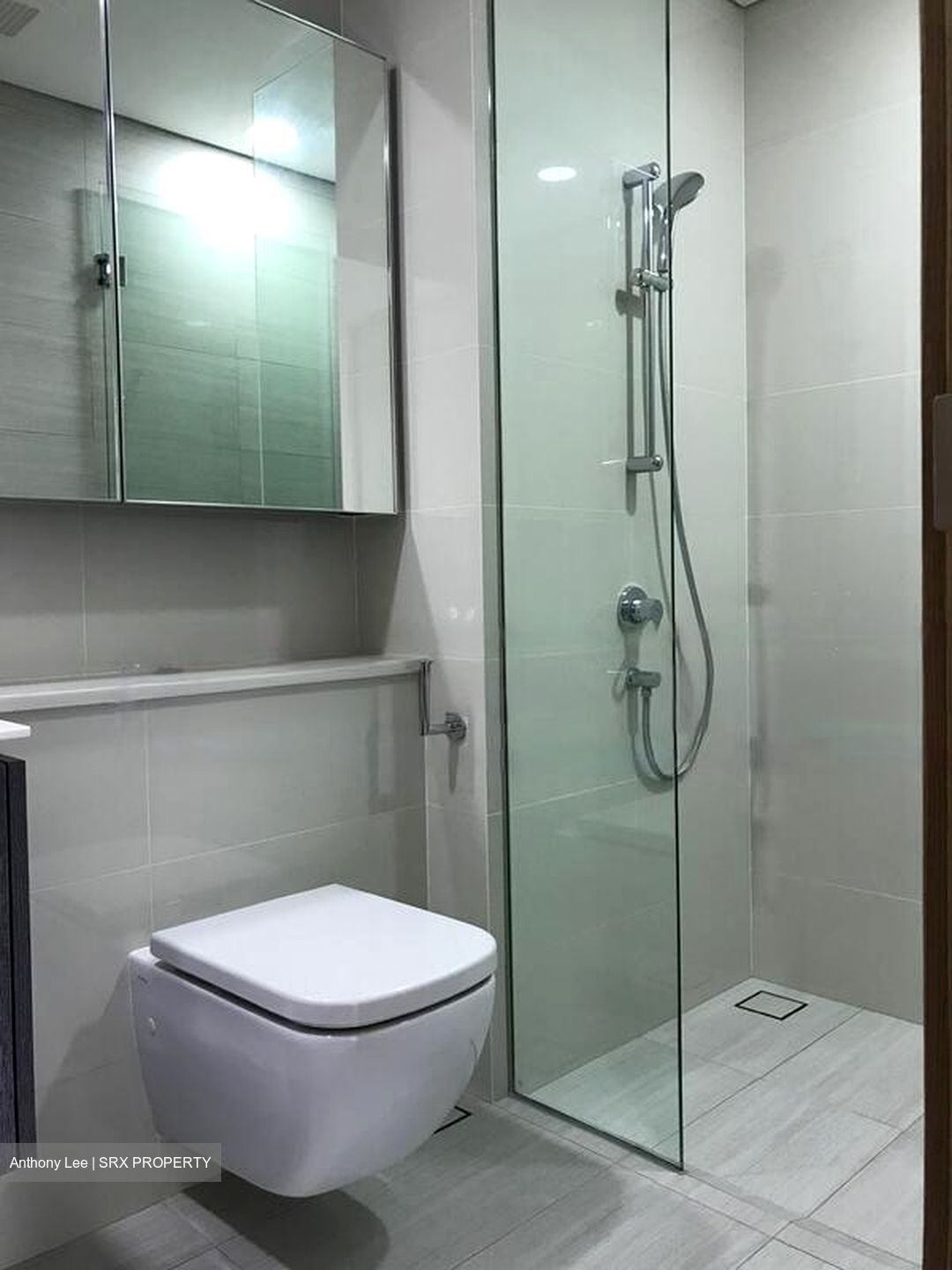 Lakeville (D22), Condominium #501961161